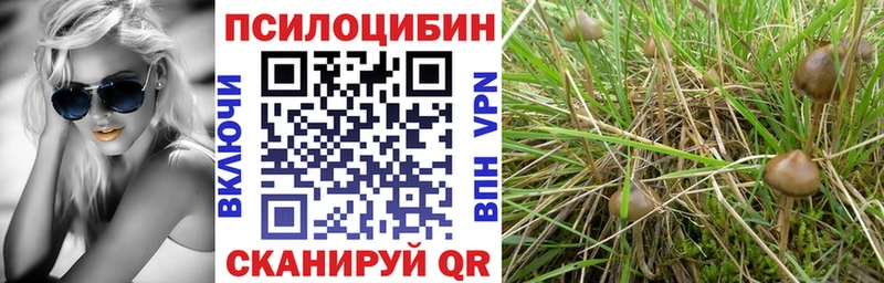 купить наркоту  Верея  Галлюциногенные грибы Magic Shrooms 